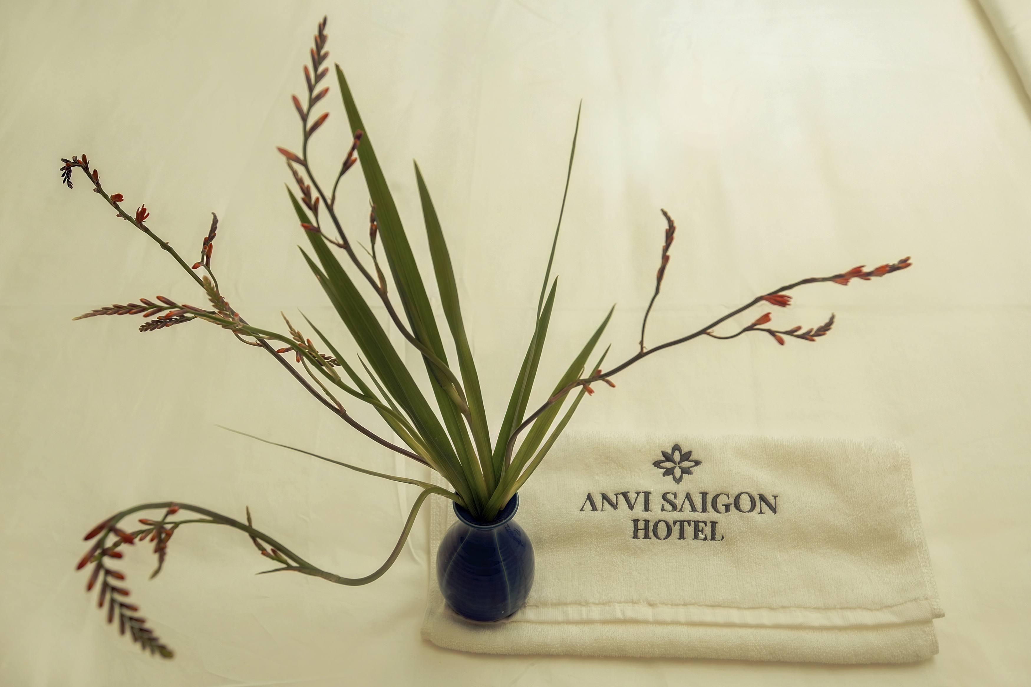 chao hotel da nang about us